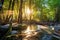 morning light illuminating a hot spring amidst trees