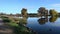 Morning light over  Pond at Bushy Park in Surrey UK