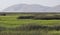 Morning Marsh and Mountains Lower Klamath Lake