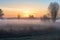 morning mist, covering rolling meadows and the sun rising over the horizon