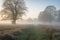 morning mist, creating a peaceful and serene scene of meadows in the early hours
