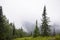 Morning mist in the mountains of North America