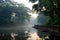 Morning mist over the river in the forest, Generative AI