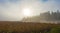 Morning mist rises off warm water into cool air on Corry lake, Ontario, Canada.