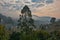 Morning mist surrounding village near Bwindi Impenetrable National Park