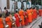 Morning Parade of the Monks bouddhiste Luang Prabang, Laos