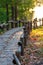 Morning park alley in sunlight reflected by lake water. beautiful hiking path to rive