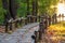 Morning park alley in sunlight reflected by lake water. beautiful hiking path to river on morning sunrise