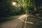 Morning park outdoor landscape scenic view peaceful nature environment spring time green foliage and sun rise lighting asphalt