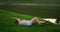 In the morning in the Park a woman lying on a Mat raises her arm and leg training the abdominal muscles against the