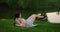 In the morning in the Park, a woman in sports clothes lying on a Mat raises her legs to the body. Exercises for a
