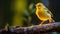 Morning Perch: Small Yellow Bird on Branch with Blurred Forest Background