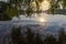 Morning pond across hanging down willows branches in summer backlit