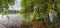 Morning pond in calm weather through the hanging willows branches