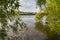 Morning pond in calm weather with willows branches over water