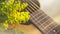 Morning relaxation and cozy with small yellow flower on guitar i