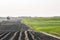 Morning rural landscape. In the morning sun, a field with repeating rows