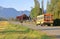 Morning School Bus on Quiet Country Road