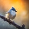 Morning Serenade: Blue Tit in Soft Morning Light