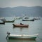 Morning Serenity: Coastal Charm of Brazilian Beaches