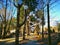 morning serenity at a pedestrian between row of tree and shadow at nami island