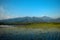 Morning shine with rice field background