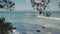 Morning shot of longboard surfers at wategos beach of byron bay