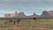 Morning shot of three horses with a distant saddleback mesa at monument valley