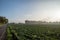 Morning and silhouette view of meadow and agricultural field covers with frost , and orange sunrise flare.