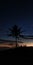 Morning sky, beatifull sky, silhouette, sunrise, sky, coconut tree