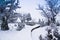 Morning Snow on Wooden Boardwalk