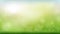 Morning spring summer green nature blurred bokeh background and grass