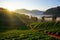 Morning Strawberry farm. Chiangmai province. THAILAND