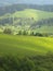 Morning summer landscape with mountains and at sunrise with sun reflecting. Evening with green tree and forest