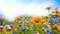 Morning summer spring wildflower field. A beautiful, sun-drenched spring summer meadow. Natural colorful panoramic