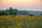 Morning summer,  summer landscape photo, cloudy sky, light fog, Europe, middle band