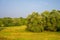 Morning summer,   summer landscape photo, cloudy sky, light fog, Europe, middle band