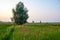 Morning summer,   summer landscape photo, cloudy sky, light fog, Europe, middle band