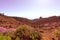 Morning sun and flowers on volcanic field Canary Islands