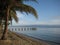 Morning sun Hopkins Belize Palm tree beach