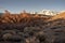 Morning sunlight on autumn trees in desert valley with snowy mountain range in distance