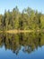 Morning symmetry on the lake