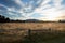 Morning view of brown meadow in Springfield, South Island, New Z