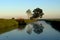 Morning view of a couple of trees on the banks of the irrigation canal, reflected in the surface of the water.