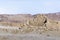 Morning view of the excavation of the ruins of the fortress of Masada, built in 25 BC by King Herod on top of one of the rocks of