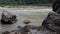 Morning view at GOA beach located in Rishikesh Uttarakhand near Laxman Jhula, Clean view of Ganga river at Rishikesh during early