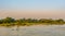 Morning view at the green banks of Katcha river in Sundarbans - Bangladesh