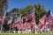 Morning view of groups of American flags swining at Temple City