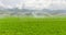 morning view of a hand line sprinkler system in a farm field