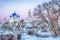 Morning view of the Holy Bogolyubsky convent in winter